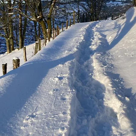 Le Pingu - Spacieux, Calme, Plein Sud - Sauna - 8 Personnes